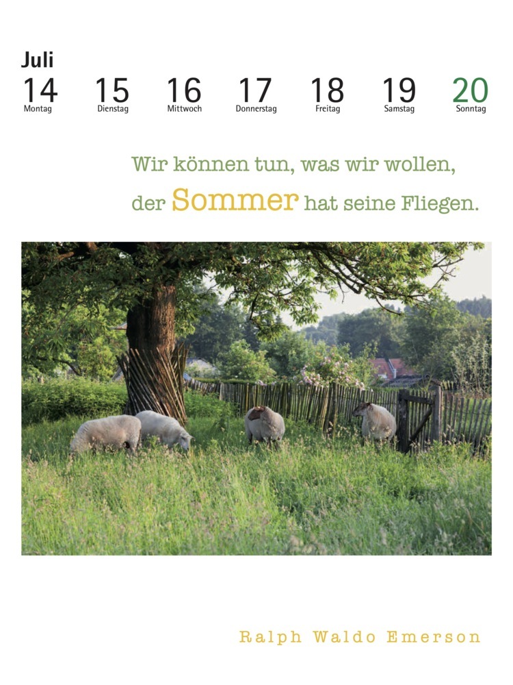 Bild: 9783895618918 | Der literarische Gartenkalender 2025 | Antje Peters-Reimann | Kalender