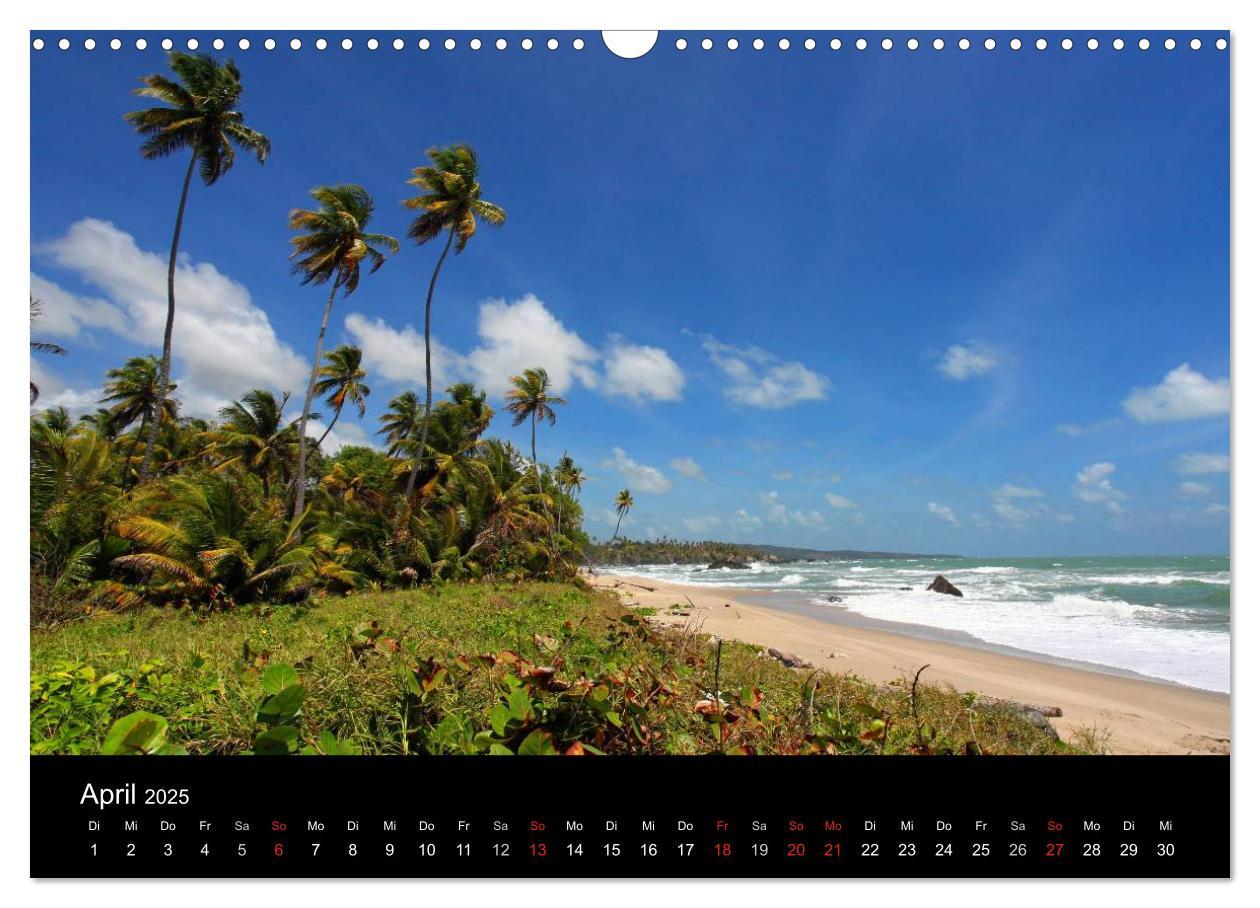 Bild: 9783435810345 | Trinidad &amp; Tobago (Wandkalender 2025 DIN A3 quer), CALVENDO...