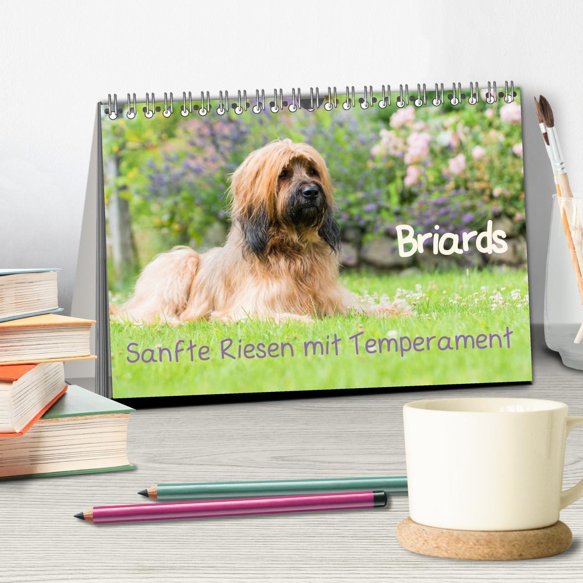 Bild: 9783435625949 | Briards - sanfte Riesen mit Temperament (Tischkalender 2025 DIN A5...