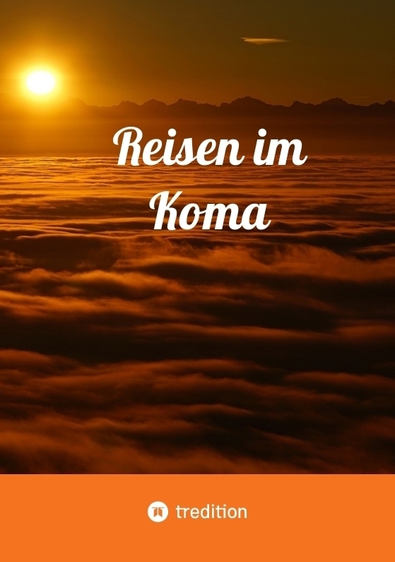 Cover: 9783347979611 | Reisen im Koma | Roman Hartl-Reiter | Taschenbuch | Deutsch
