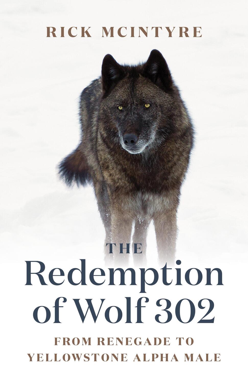 Cover: 9781771645270 | The Redemption of Wolf 302: From Renegade to Yellowstone Alpha Male
