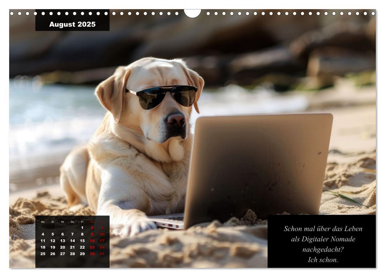 Bild: 9783435368143 | Der witzige Labrador-Kalender (Wandkalender 2025 DIN A3 quer),...