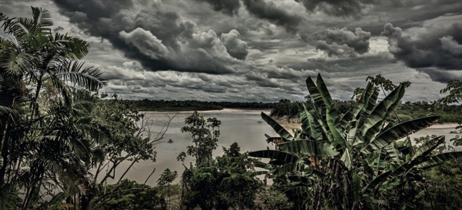 Bild: 9783866907058 | Amazonas | Reise zum Rio Javari | Joey Kelly (u. a.) | Buch | 240 S.