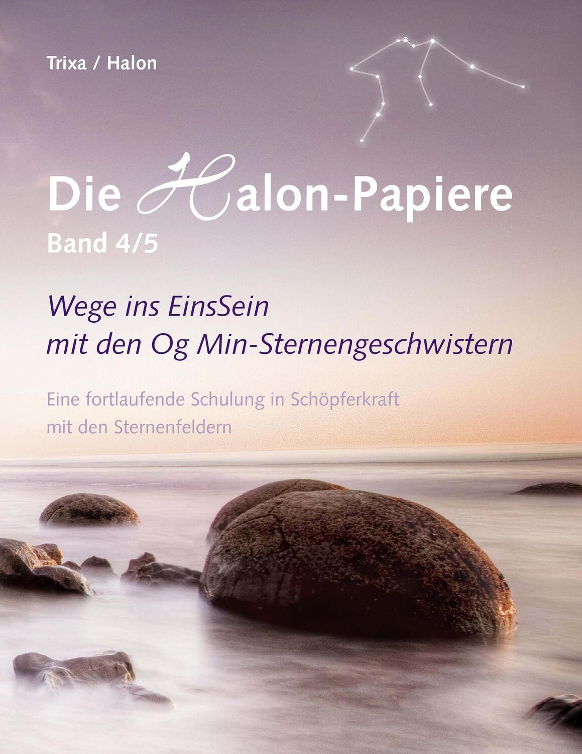 Cover: 9783842366787 | Die Halon-Papiere, Band 4/5 | Trixa (u. a.) | Taschenbuch | Paperback