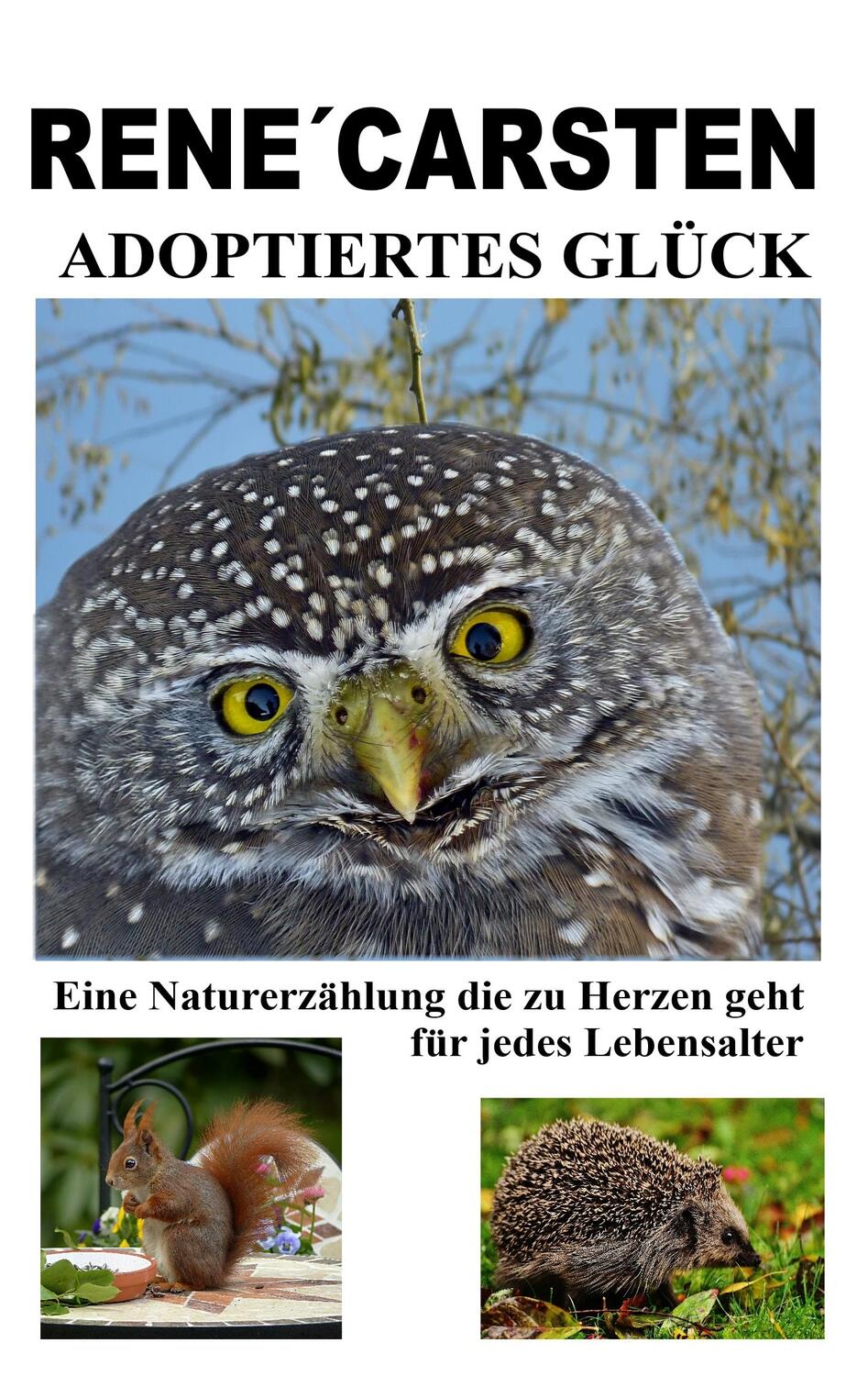 Cover: 9783749410774 | Adoptiertes Glück | Rene´ Carsten | Taschenbuch | Books on Demand