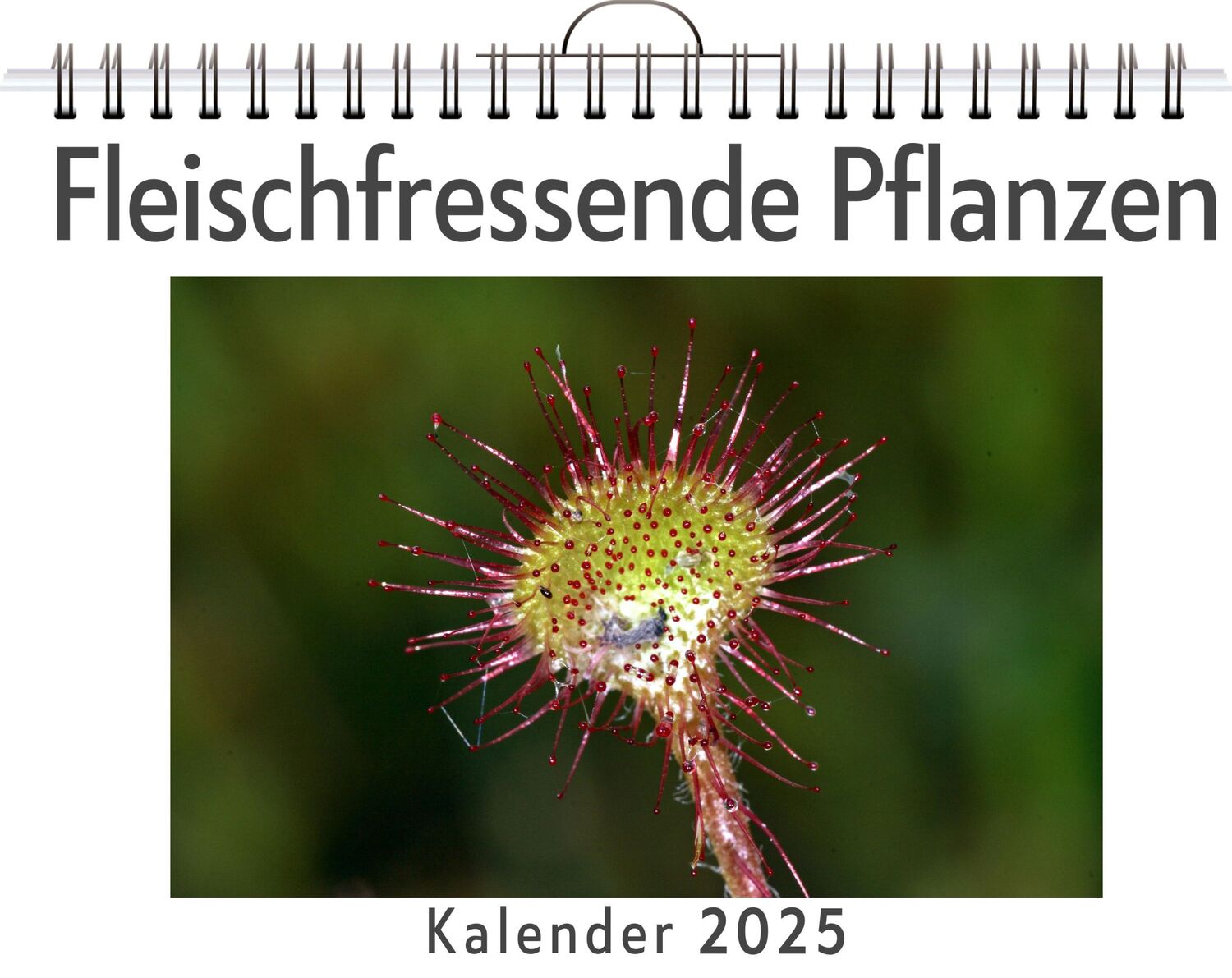 Cover: 9783759128508 | Fleischfressende Pflanzen | Liam Keller | Kalender | Kalender | 14 S.