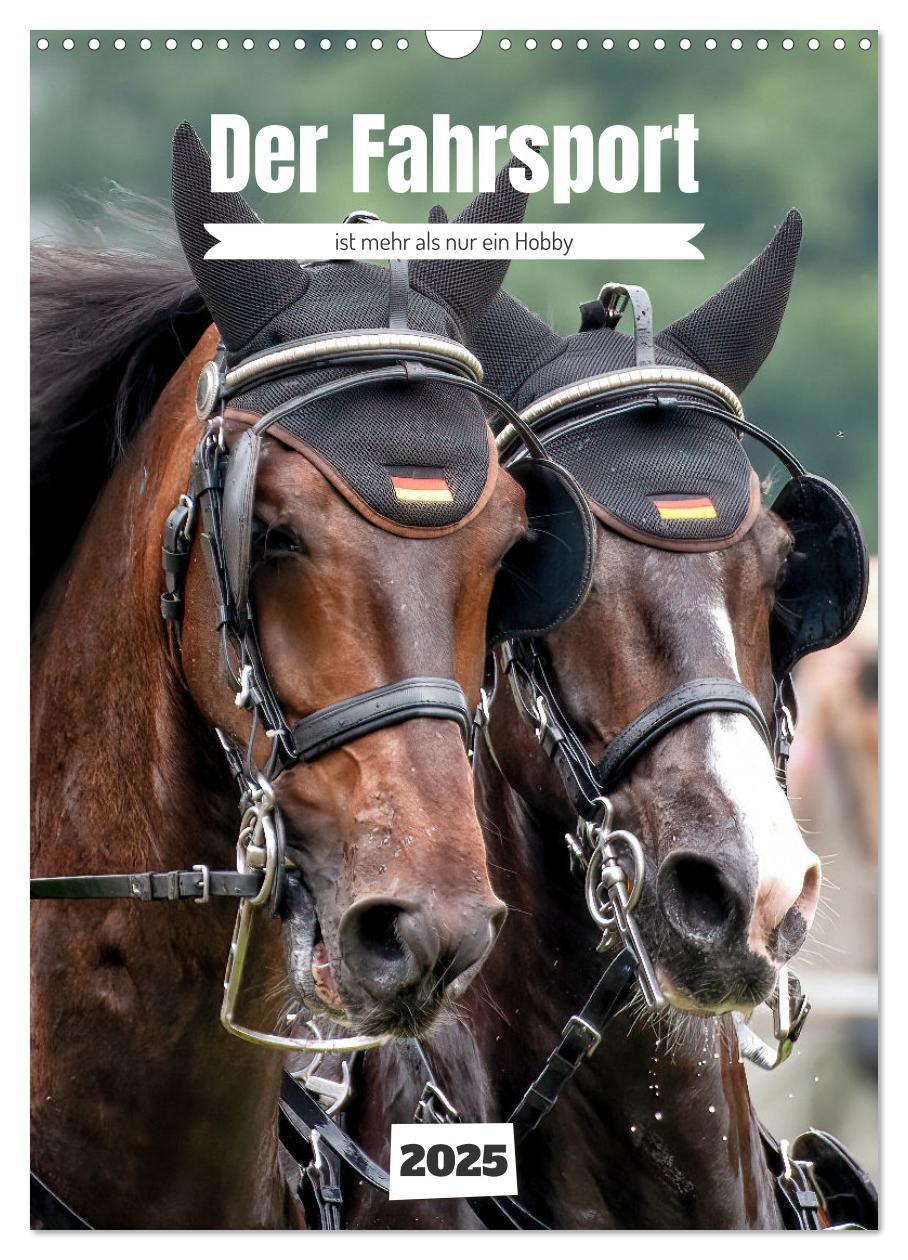 Cover: 9783383801020 | Der Fahrsport ist mehr als nur ein Hobby (Wandkalender 2025 DIN A3...