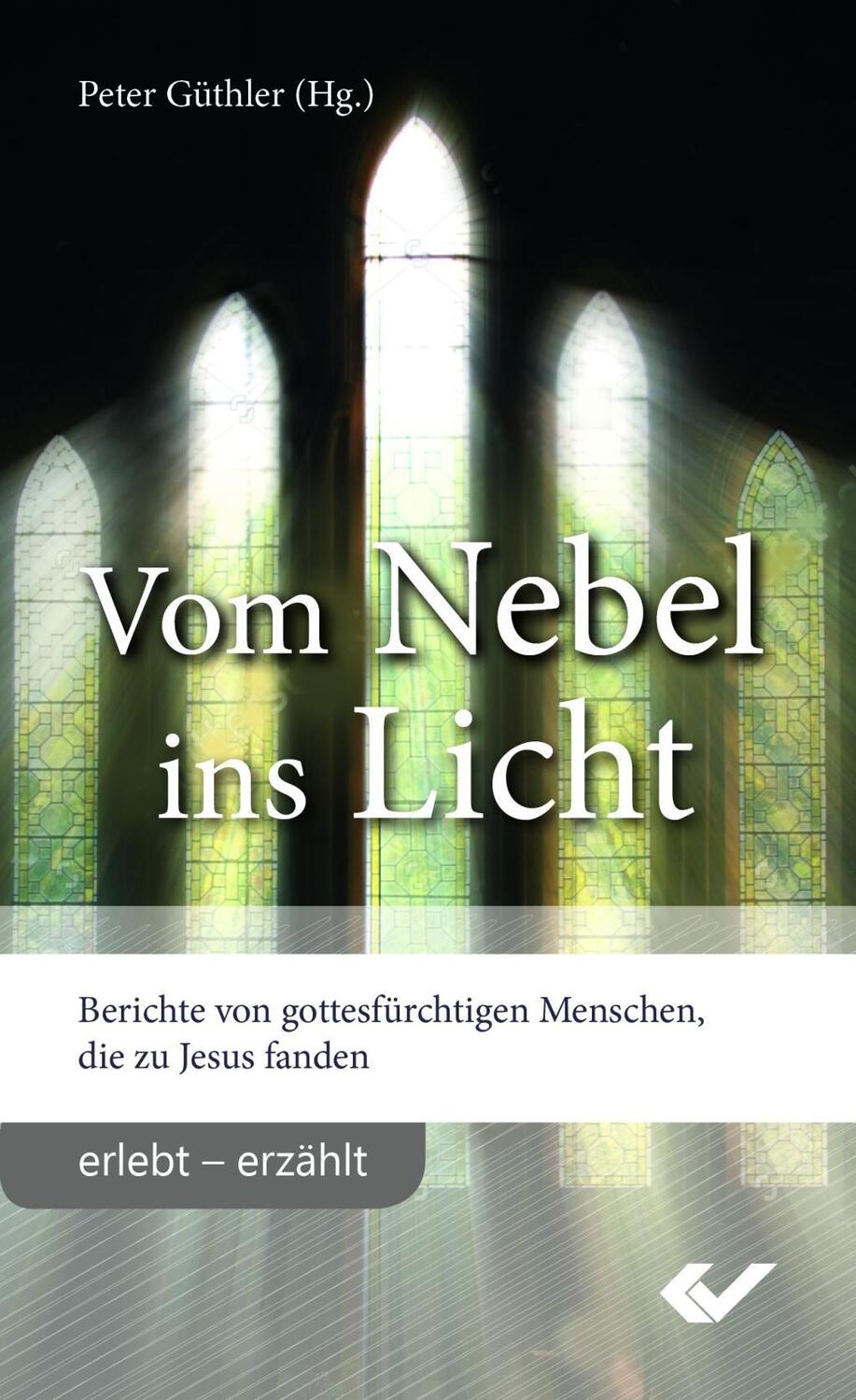 Cover: 9783863534752 | Vom Nebel ins Licht | Taschenbuch | 96 S. | Deutsch | 2017