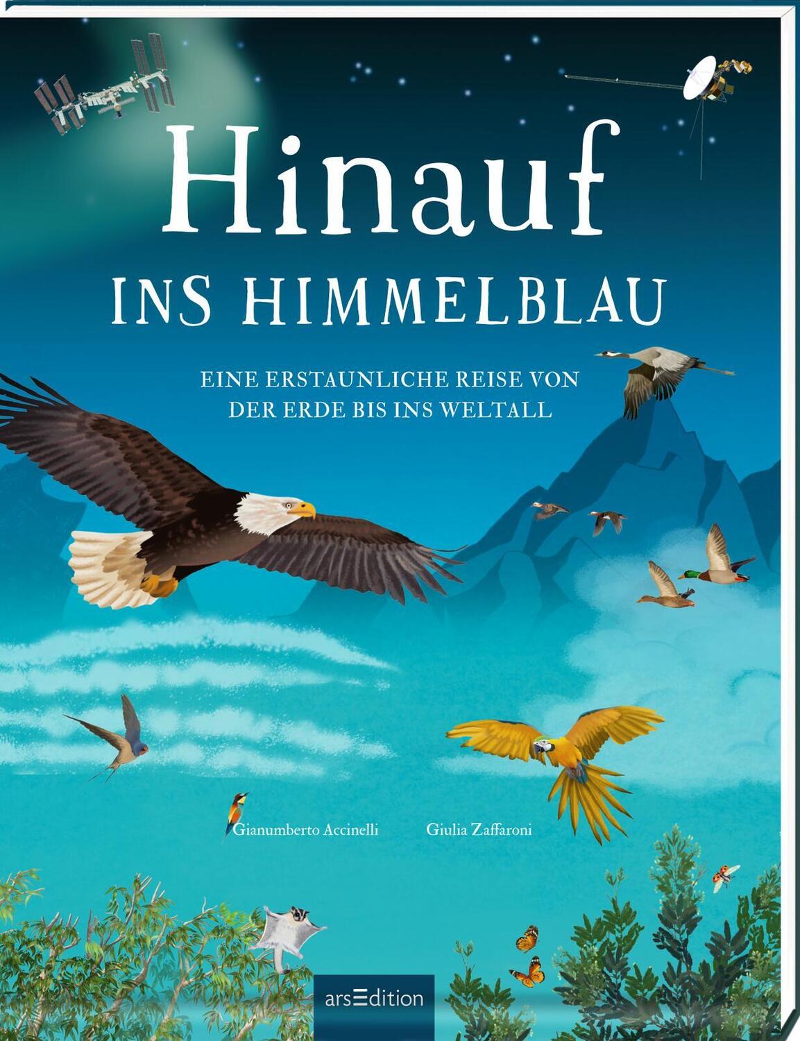 Cover: 9783845855424 | Hinauf ins Himmelblau | Gianumberto Accinelli | Buch | 96 S. | Deutsch