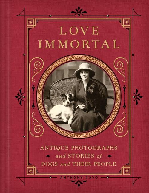 Cover: 9780063204294 | Love Immortal | Anthony Cavo | Buch | Gebunden | Englisch | 2022