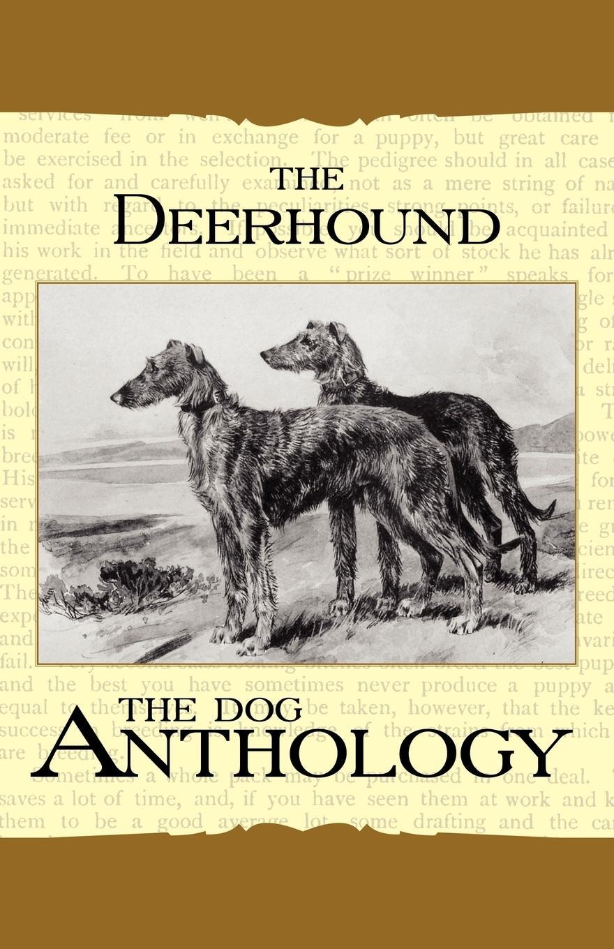 Cover: 9781406787757 | The Deerhound - A Dog Anthology (A Vintage Dog Books Breed Classic)