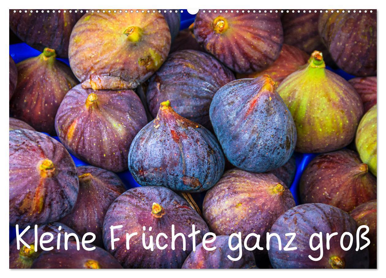 Cover: 9783675997141 | Kleine Früchte ganz groß (Wandkalender 2024 DIN A2 quer), CALVENDO...