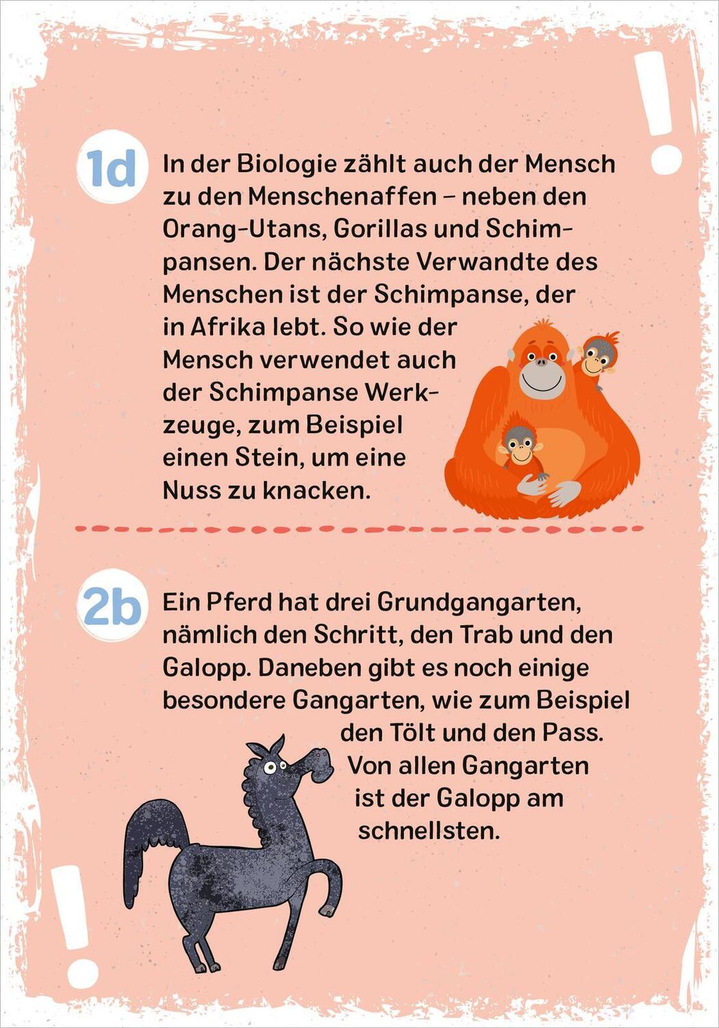 Bild: 9783845852324 | Das ultimative Wissens-Quiz | Philip Kiefer | Taschenbuch | 51 S.