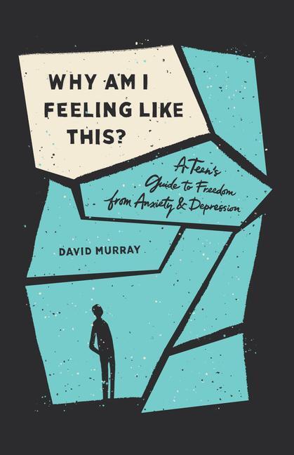 Cover: 9781433567186 | Why Am I Feeling Like This? | David Murray | Taschenbuch | Englisch