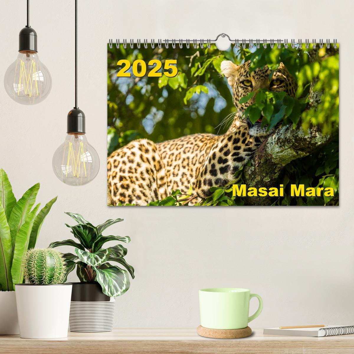 Bild: 9783435676941 | Masai Mara 2025 (Wandkalender 2025 DIN A4 quer), CALVENDO...