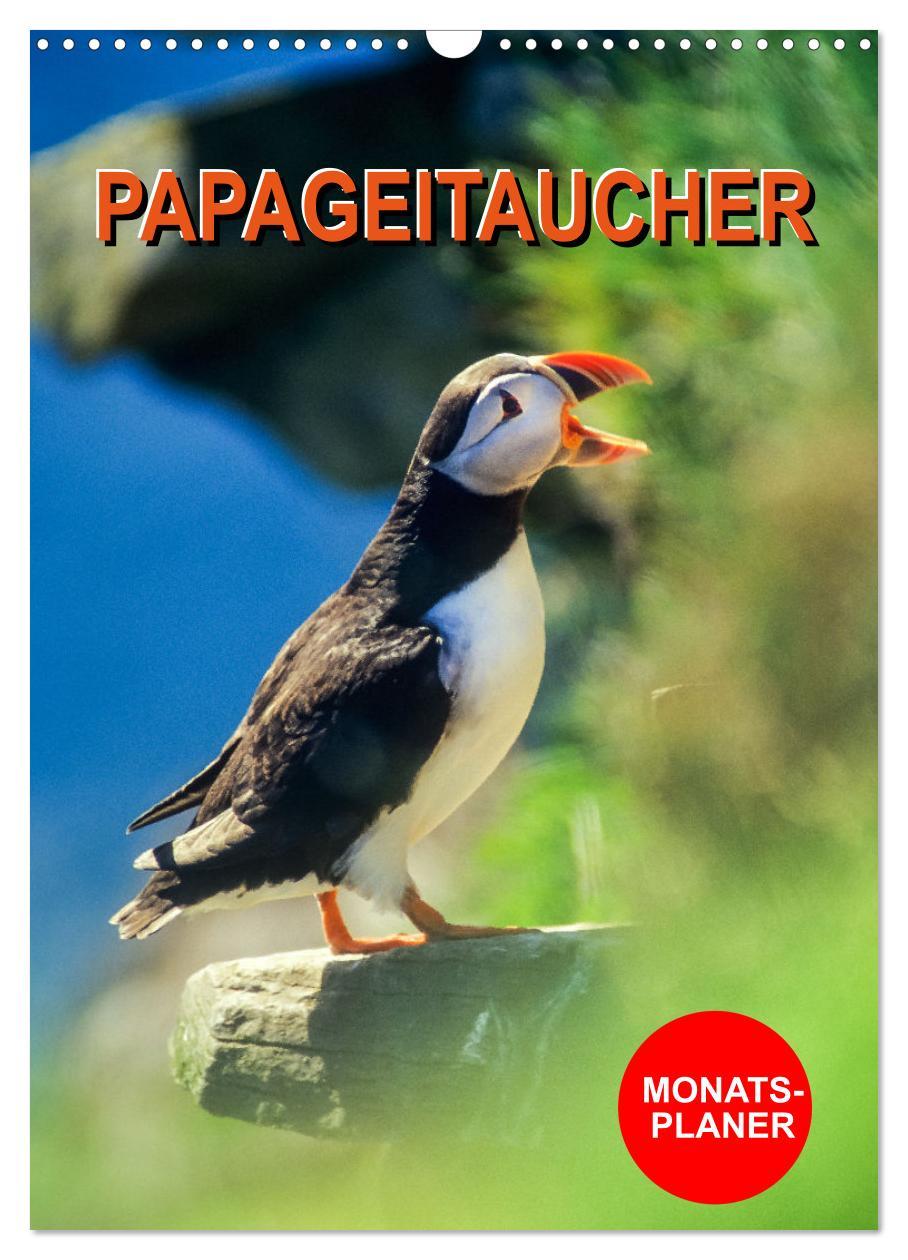 Cover: 9783435927296 | Papageitaucher Monatsplaner (Wandkalender 2025 DIN A3 hoch),...