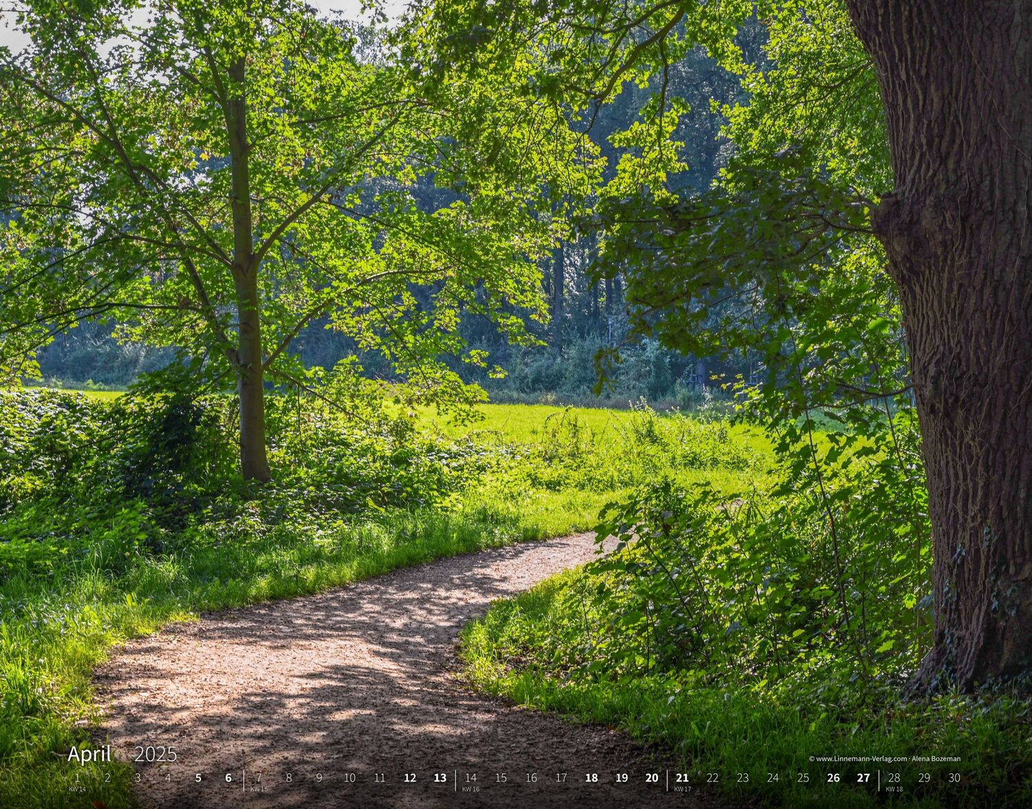 Bild: 9783862923427 | Wandern Hiking 2025 Großformat-Kalender 58 x 45,5 cm | Hiking 2025