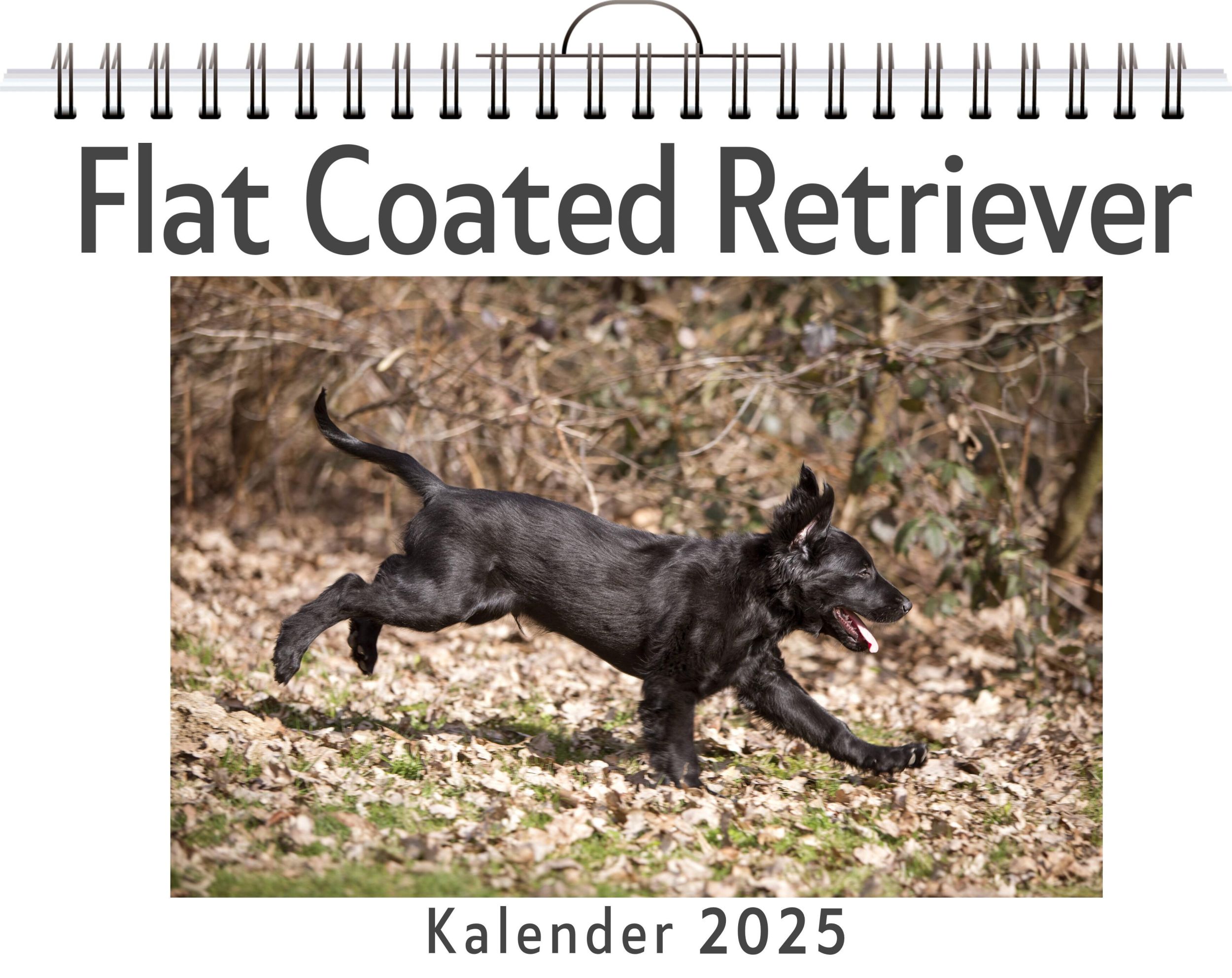 Cover: 9783759132710 | Flat Coated Retriever | Lena Schmitz | Kalender | Kalender | 14 S.