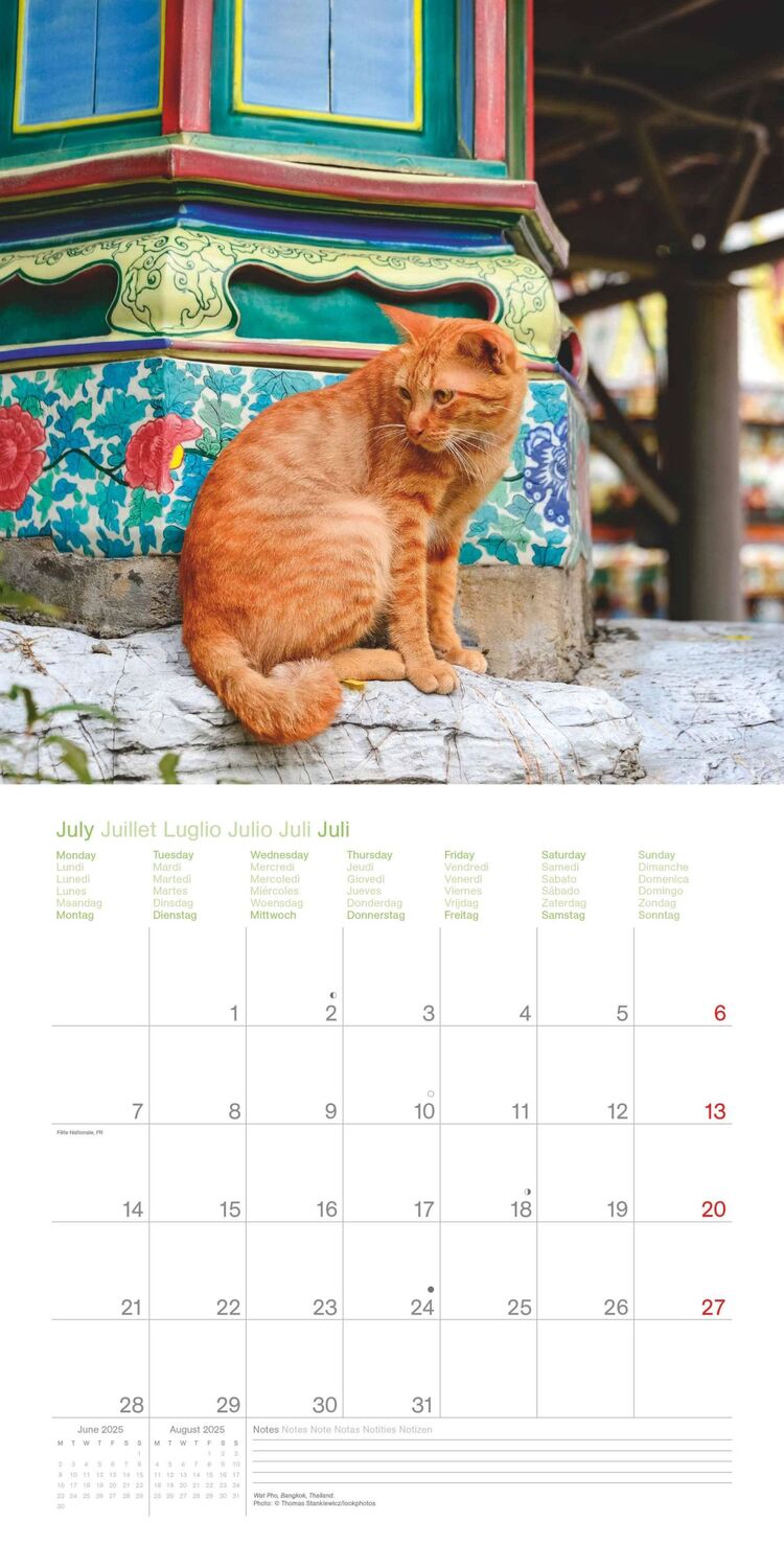 Bild: 4002725987945 | Cats Around the World 2025 - Wand-Kalender - Broschüren-Kalender -...