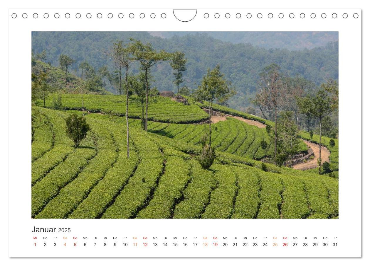 Bild: 9783435733903 | Kerala - Im Süden Indiens (Wandkalender 2025 DIN A4 quer), CALVENDO...