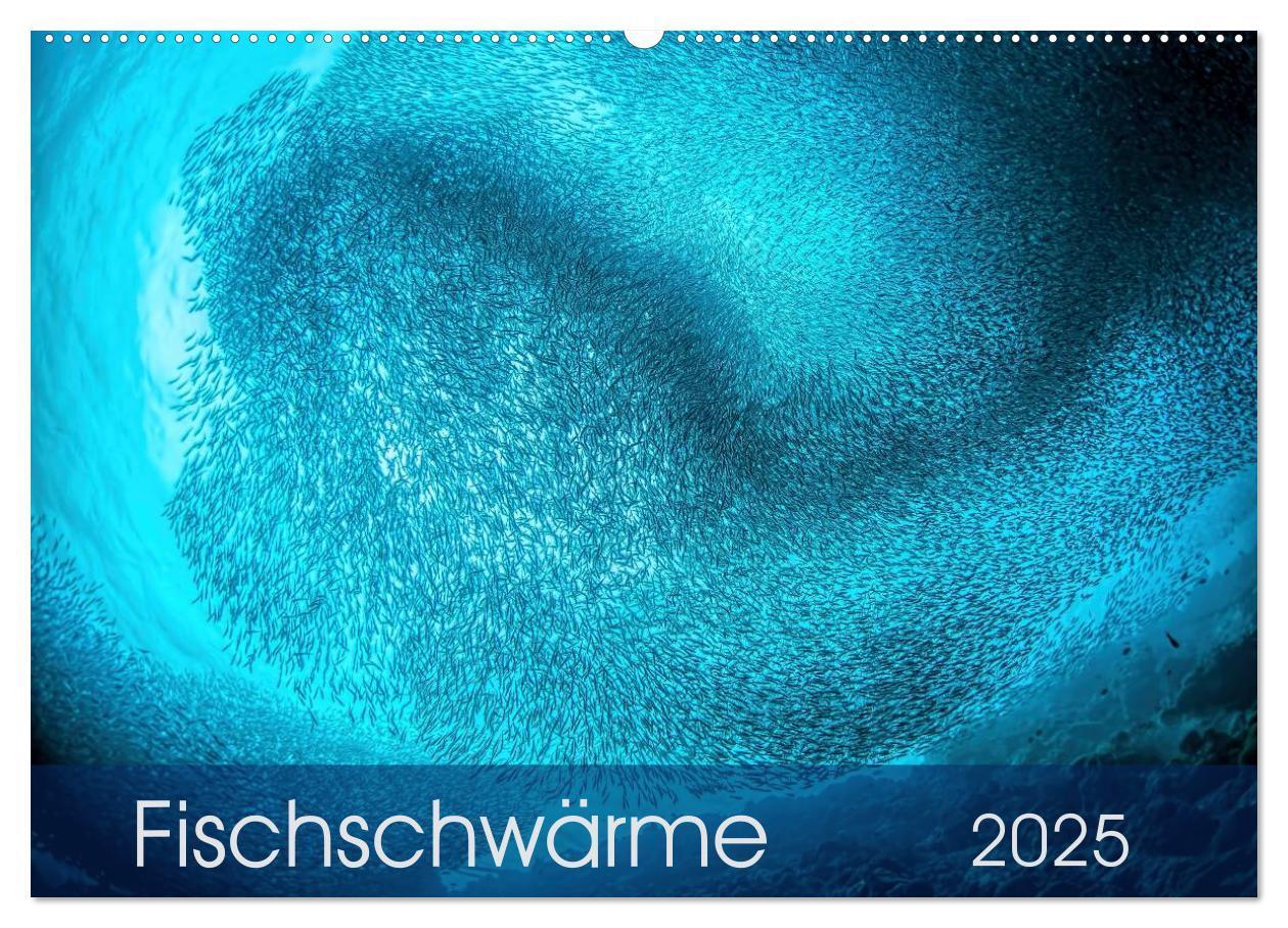 Cover: 9783435611065 | Fischschwärme (Wandkalender 2025 DIN A2 quer), CALVENDO Monatskalender