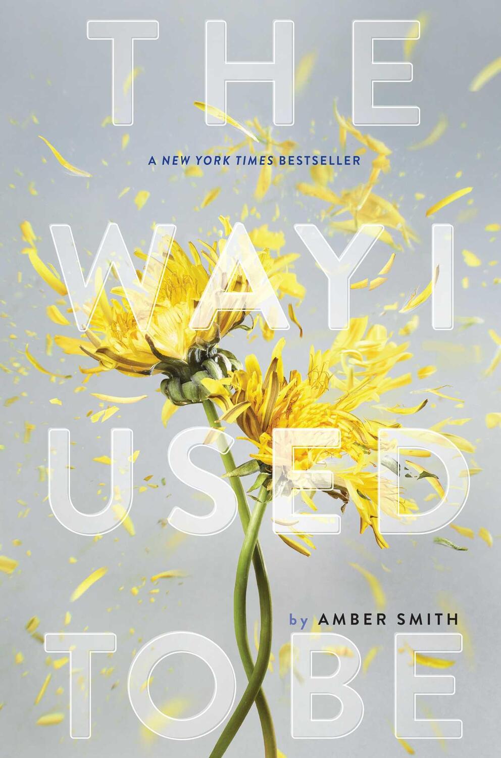 Cover: 9781481449359 | The Way I Used to Be | Amber Smith | Buch | Gebunden | Englisch | 2016