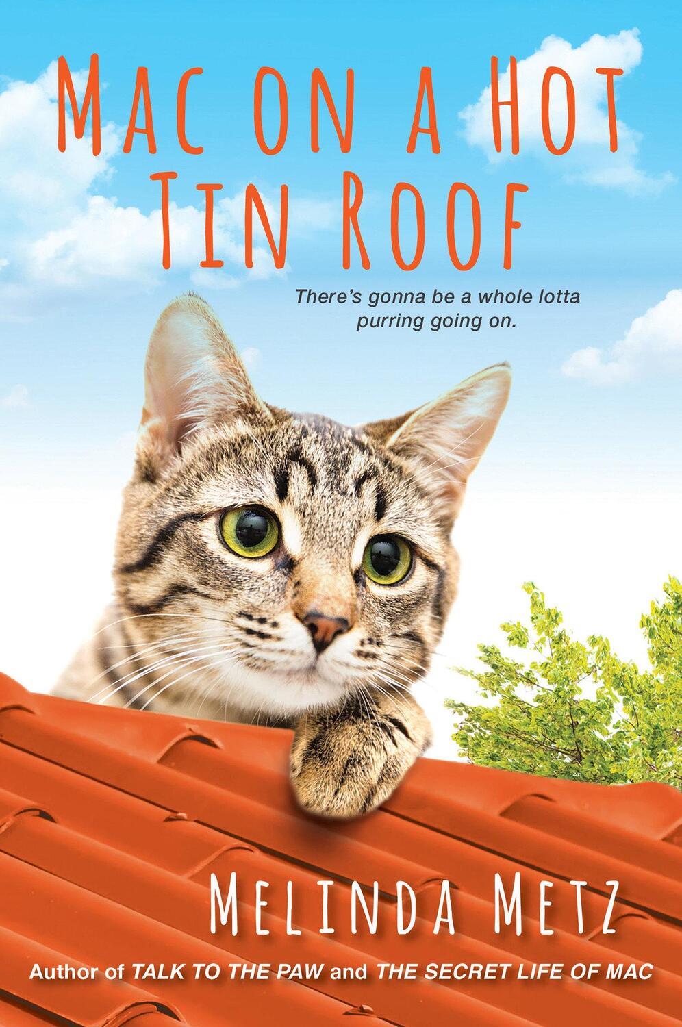 Cover: 9781496719003 | Mac on a Hot Tin Roof | Melinda Metz | Taschenbuch | Englisch | 2019