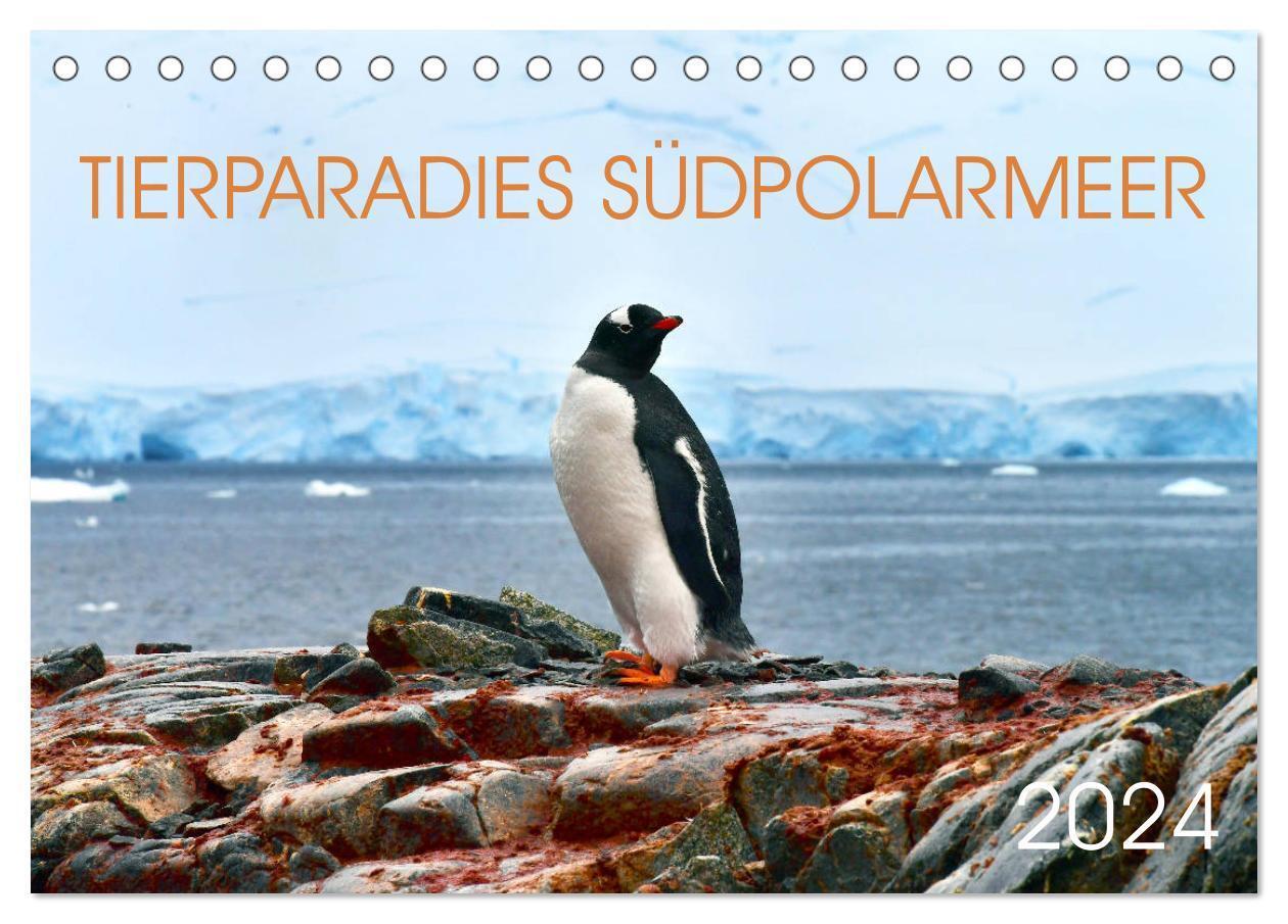 Cover: 9783675744646 | Tierparadies Südpolarmeer (Tischkalender 2024 DIN A5 quer),...