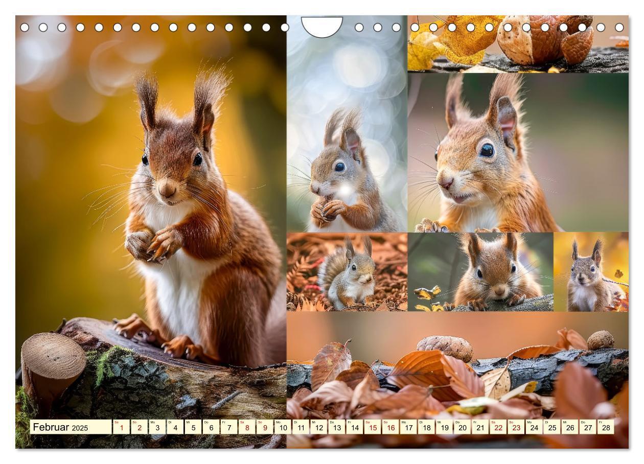 Bild: 9783383801822 | Eichhörnchen - tollkühne Kletterer (Wandkalender 2025 DIN A4 quer),...