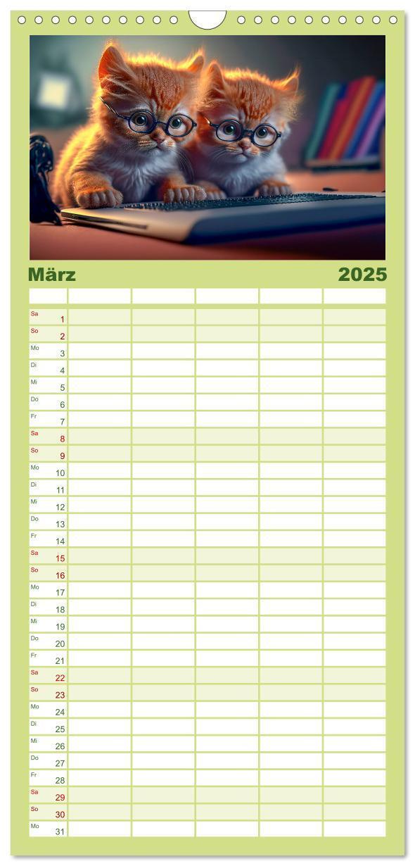 Bild: 9783457094228 | Familienplaner 2025 - Katzen Freunde mit 5 Spalten (Wandkalender,...