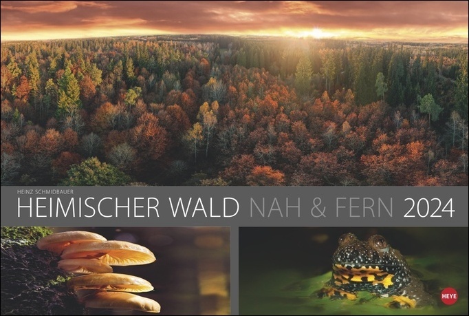 Cover: 9783756402281 | Wald nah und fern Edition Kalender 2024. Der Wald von seiner...