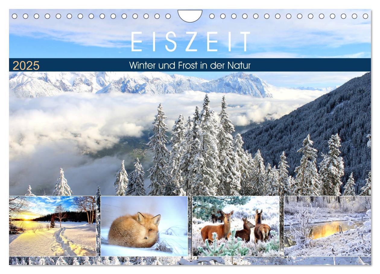 Cover: 9783435175383 | Eiszeit. Winter und Frost in der Natur (Wandkalender 2025 DIN A4...