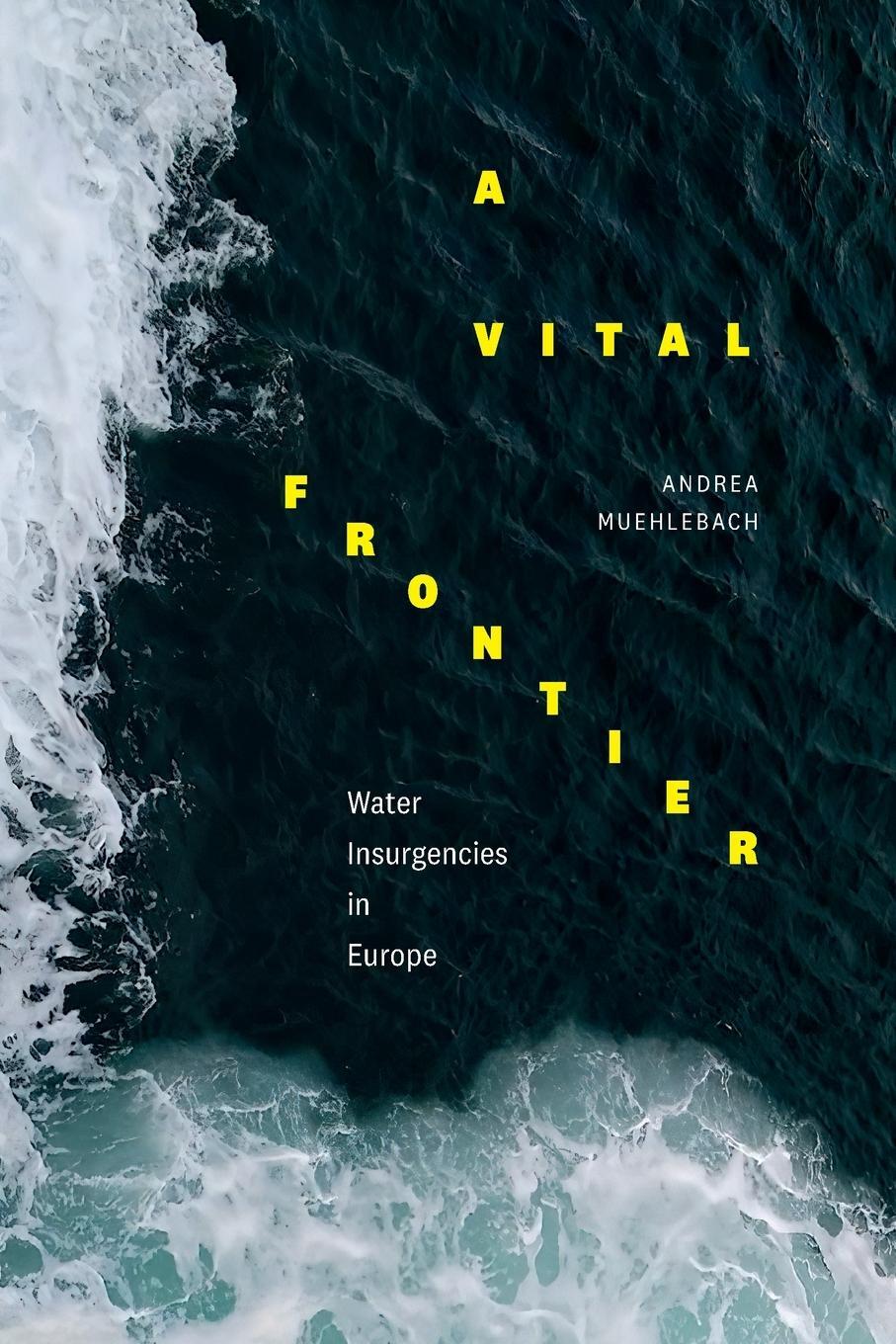 Cover: 9781478019831 | A Vital Frontier | Water Insurgencies in Europe | Andrea Muehlebach