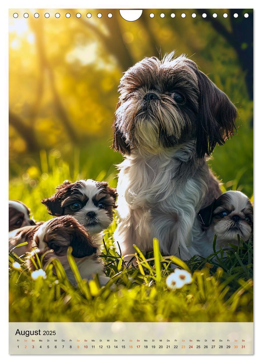 Bild: 9783383765315 | Shih Tzu - immer im Mittelpunkt (Wandkalender 2025 DIN A4 hoch),...