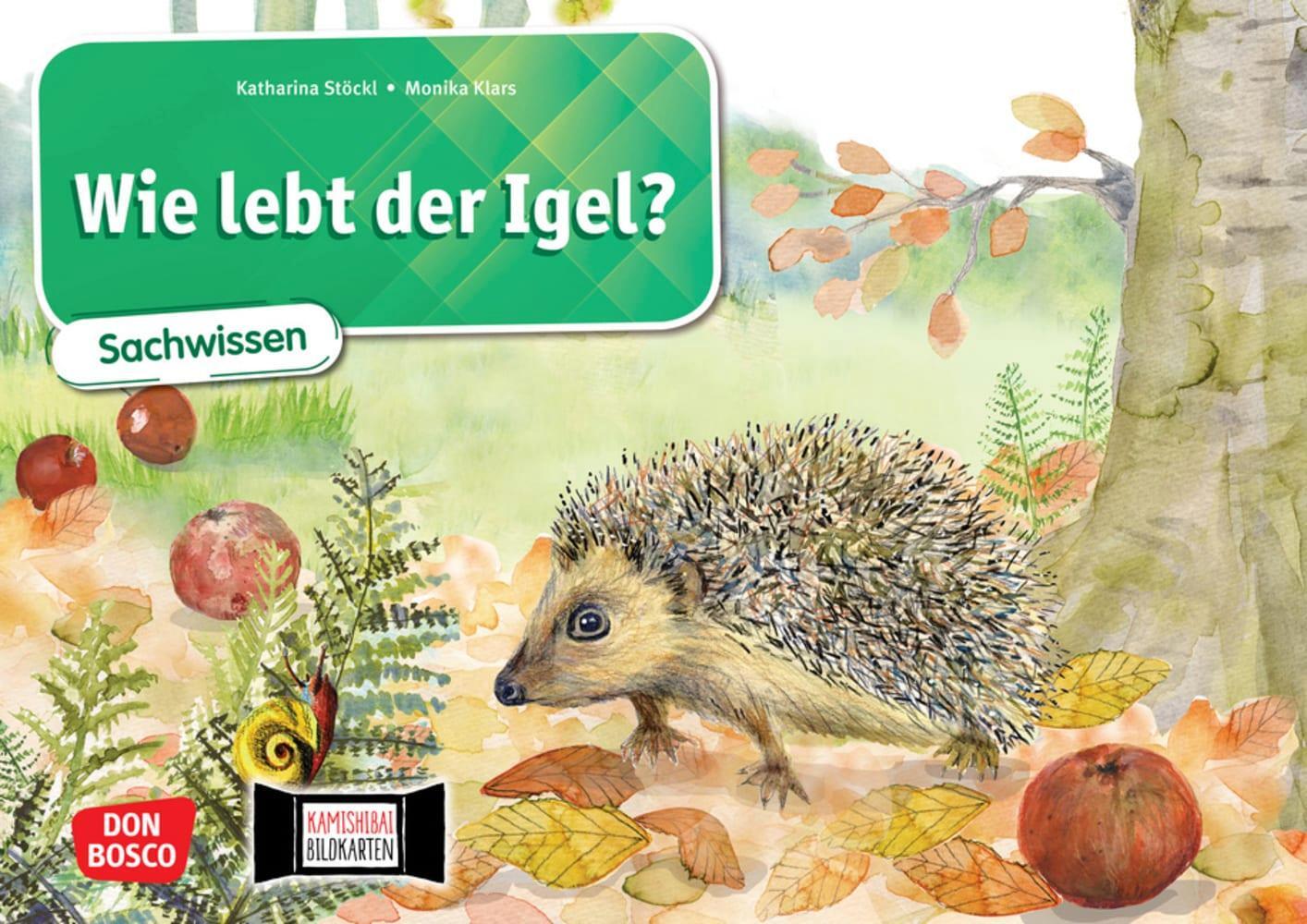Cover: 4260179516740 | Wie lebt der Igel? Kamishibai Bildkartenset. | Katharina Stöckl-Bauer