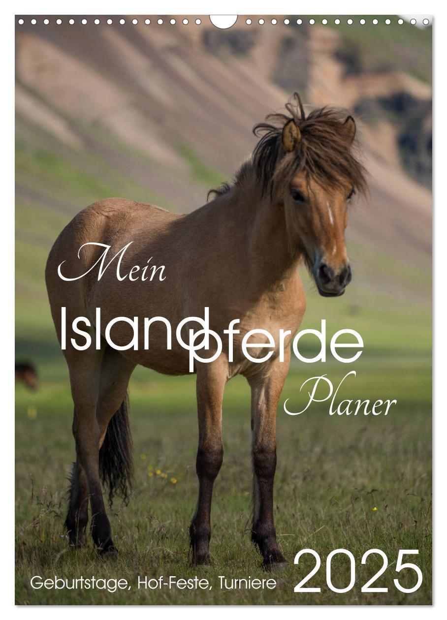 Cover: 9783435979615 | Mein ISLANDPFERDE Planer - Geburtstage, Hof-Feste, Turniere...