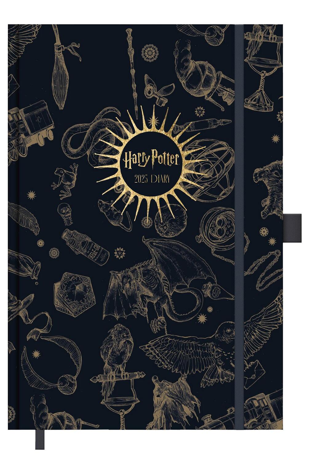 Cover: 5056480398224 | Harry Potter Taschenkalender 2025 14,5 x 21,5 cm | Kalender | 352 S.
