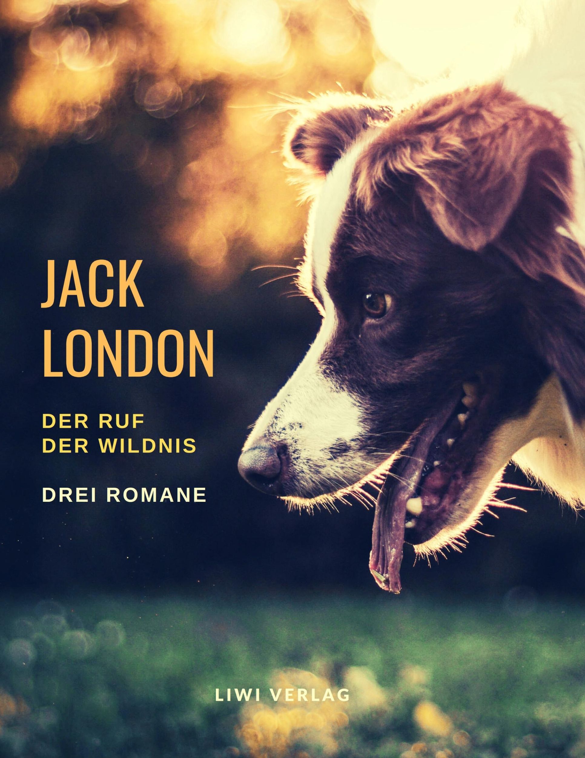 Cover: 9783965422766 | Der Ruf der Wildnis - Drei Romane | Jack London | Taschenbuch | 392 S.