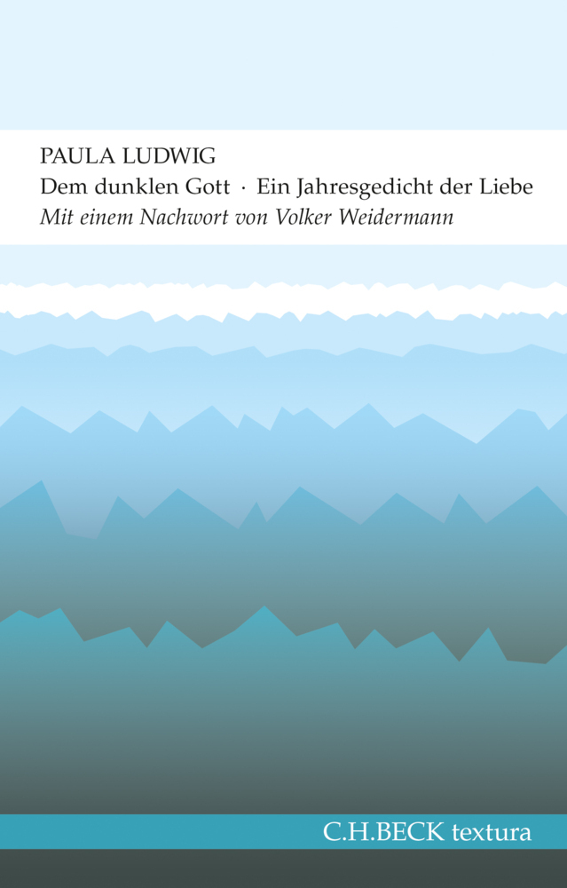 Cover: 9783406675331 | Dem dunklen Gott | Paula Ludwig | Taschenbuch | Klappenbroschur | 2015