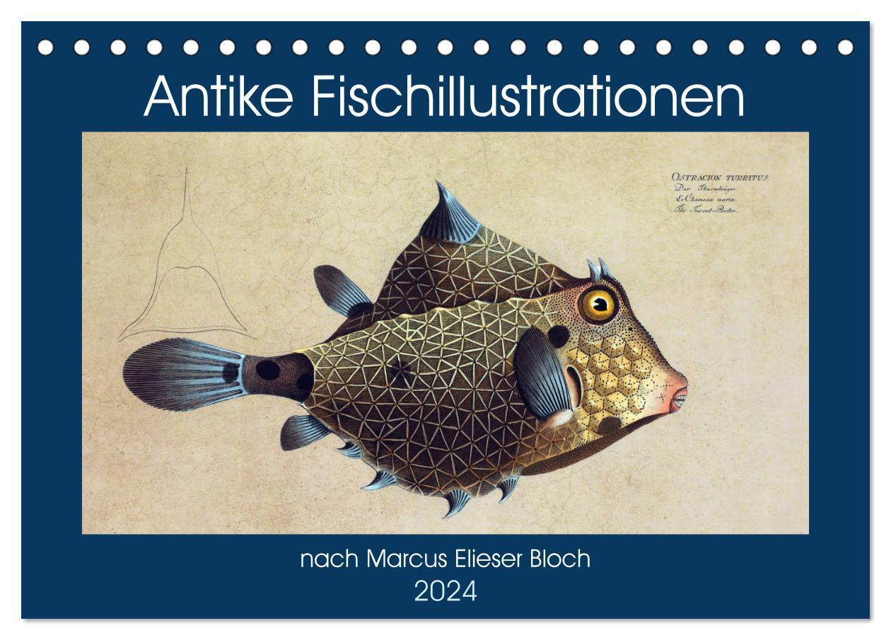 Cover: 9783675946828 | Antike Fischillustrationen nach Marcus Elieser Bloch (Tischkalender...