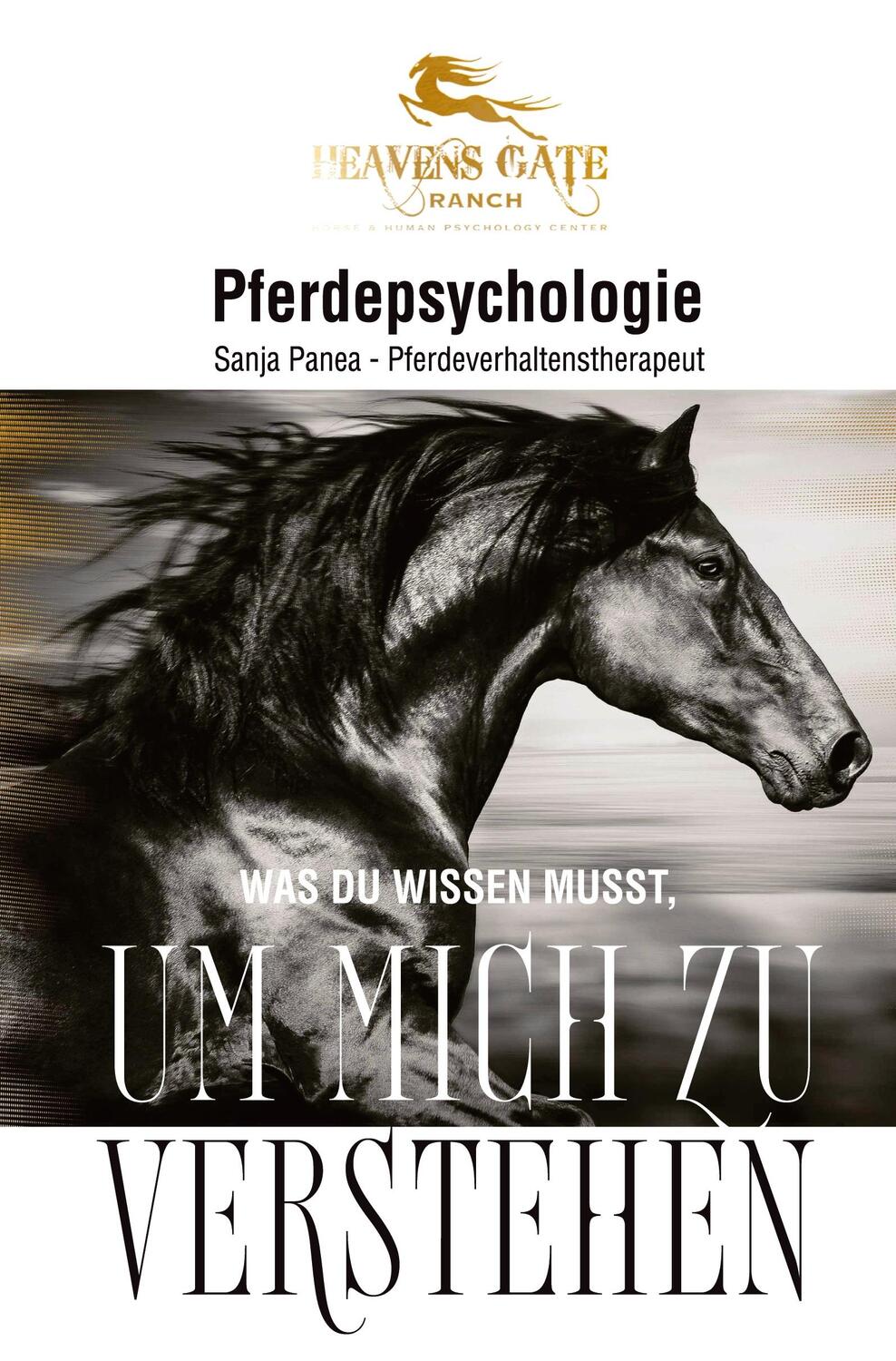 Cover: 9783347113657 | Pferdepsychologie | Was du wissen musst, um mich zu verstehen | Panea