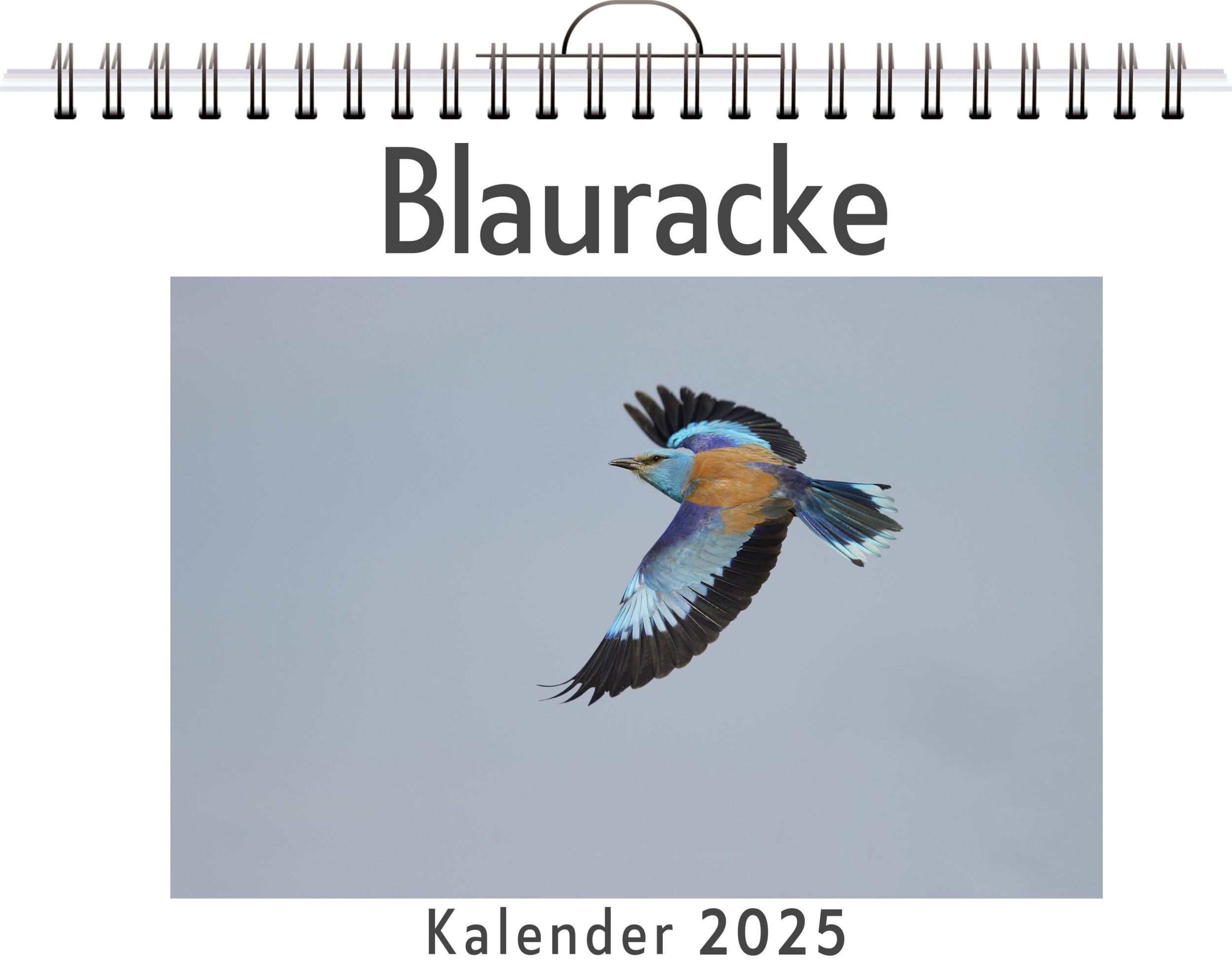 Cover: 9783759128287 | Blauracke | Nele Braun | Kalender | Kalender | 14 S. | Deutsch