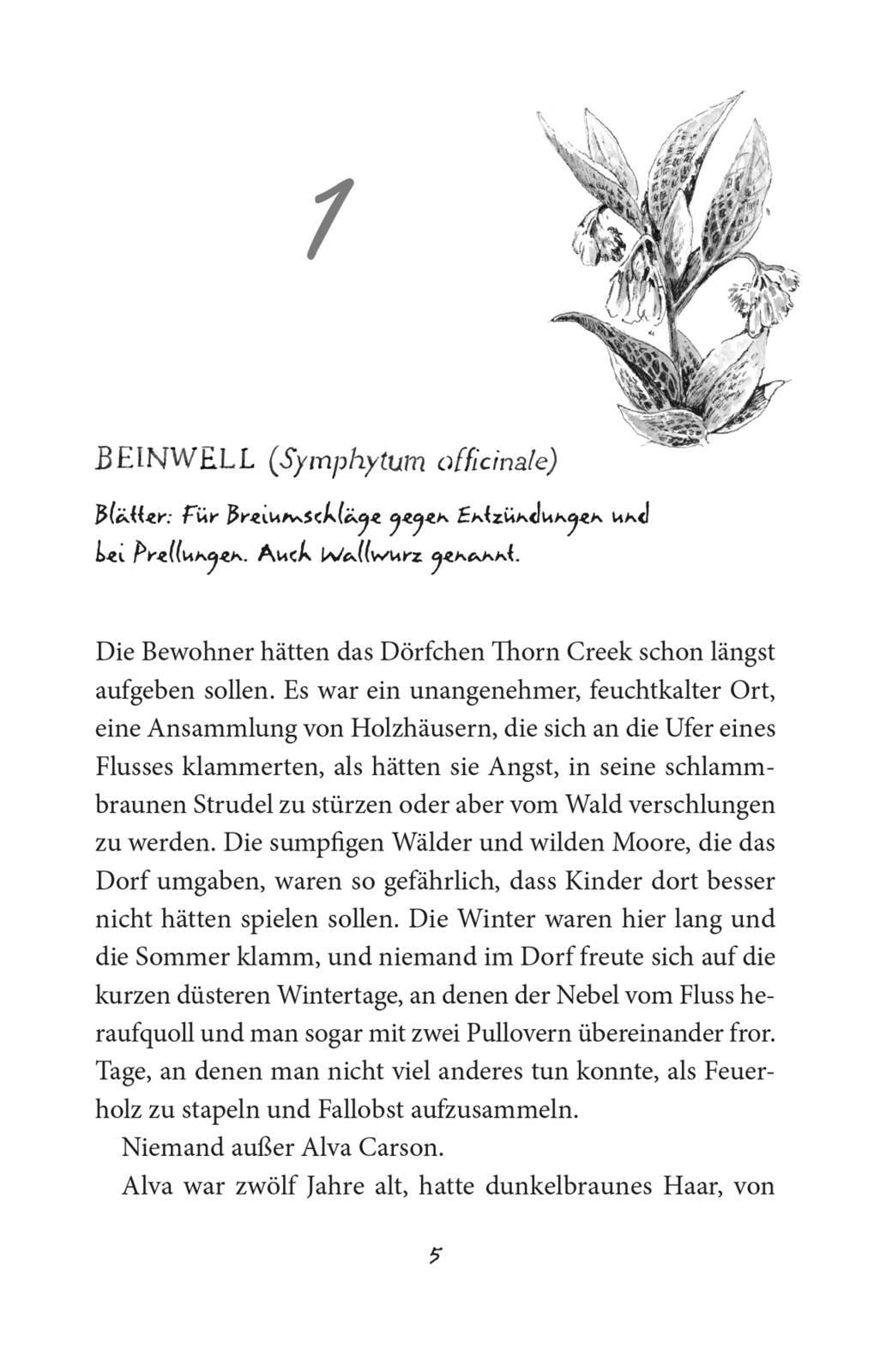 Bild: 9783551322326 | Alva und das Rätsel der flüsternden Pflanzen | Yarrow Townsend | Buch