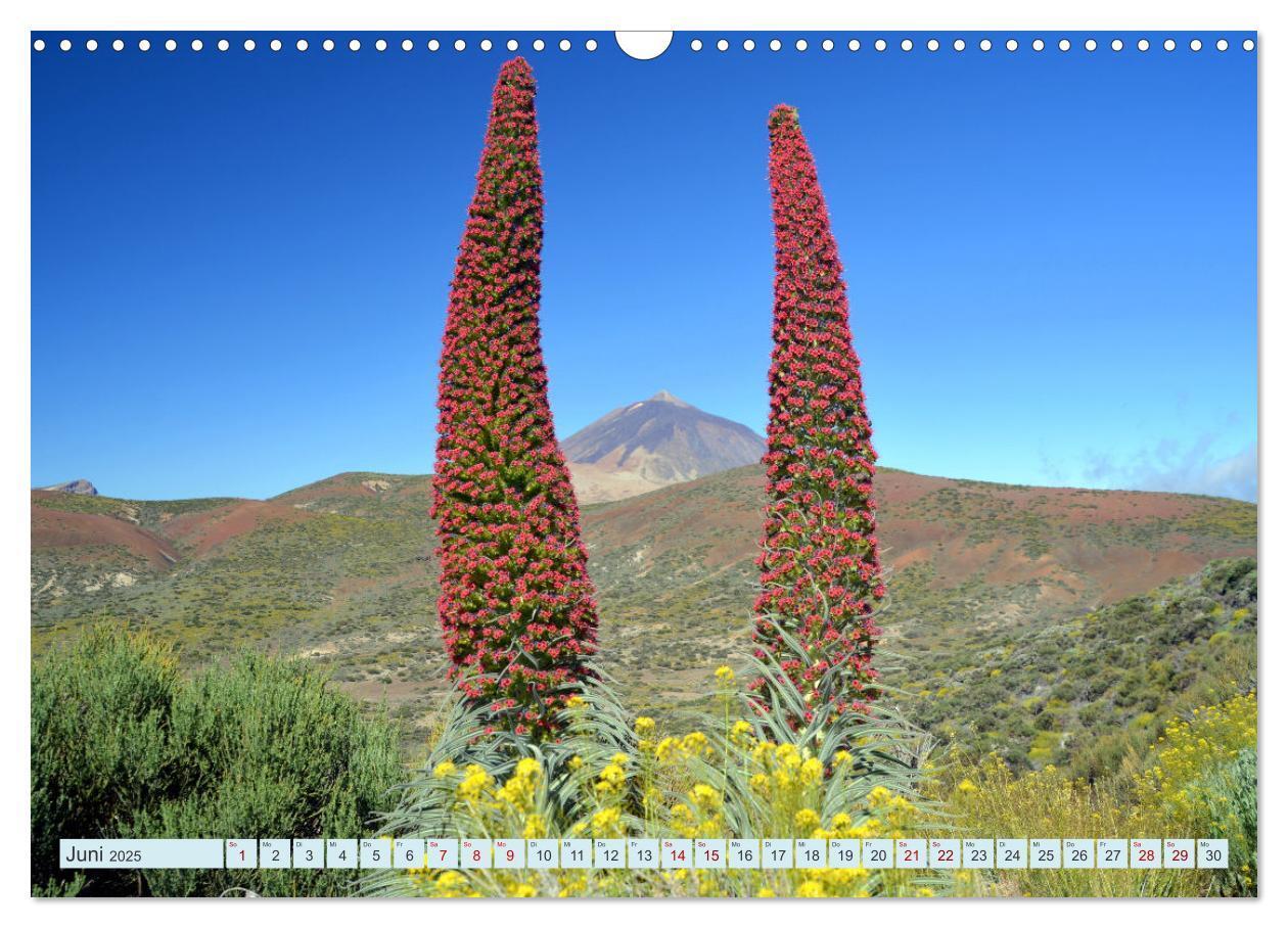 Bild: 9783435086436 | Teneriffa - Insel der Glückseligen (Wandkalender 2025 DIN A3 quer),...