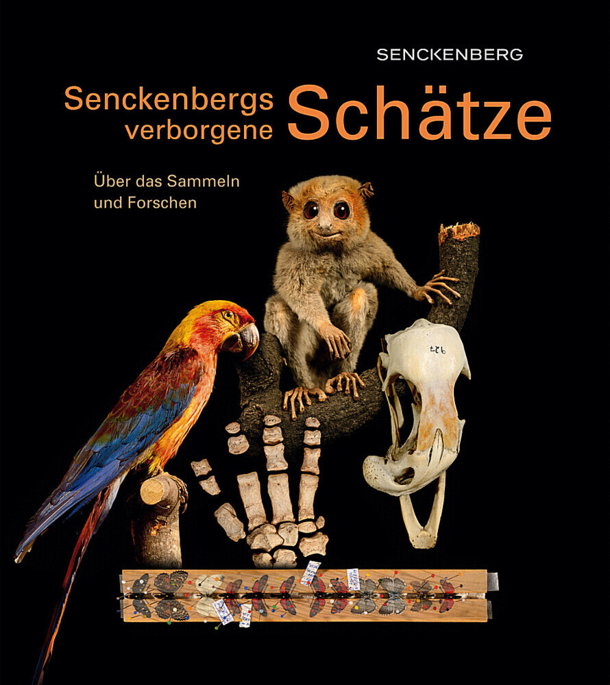 Cover: 9783510614059 | Senckenbergs verborgene Schätze | Über das Sammeln und Forschen | Buch