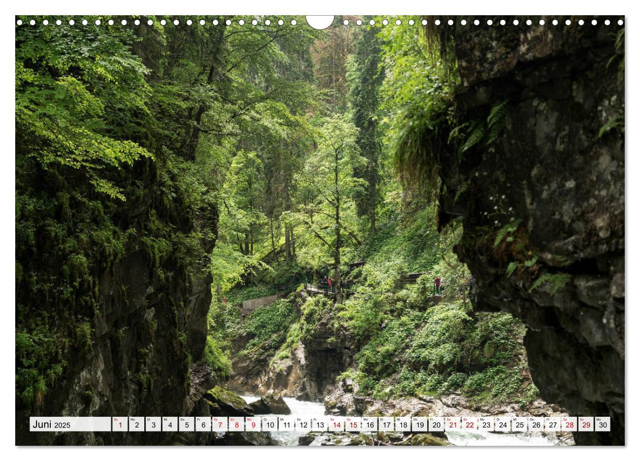 Bild: 9783383915314 | Traumhafte Wälder (Wandkalender 2025 DIN A3 quer), CALVENDO...