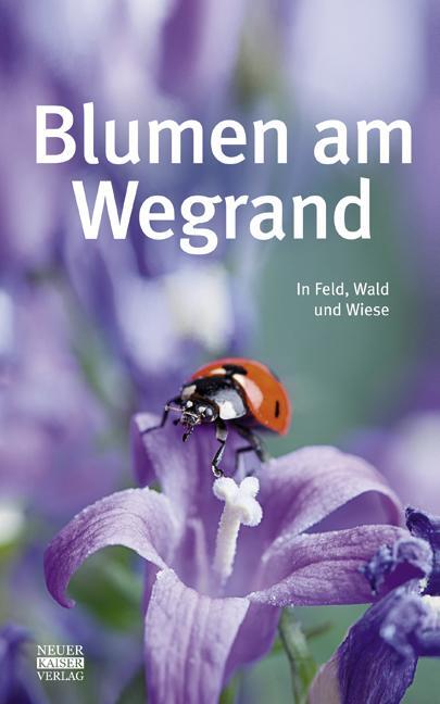 Cover: 9783846800119 | Blumen am Wegrand | In Feld, Wald und Wiesen | Buch | Deutsch | 2012