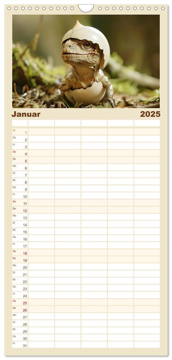 Bild: 9783457190548 | Familienplaner 2025 - Dino-Babys mit 5 Spalten (Wandkalender, 21 x...