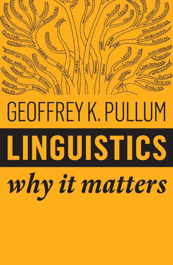 Cover: 9781509530762 | Linguistics | Why It Matters | Geoffrey K Pullum | Taschenbuch | 2018