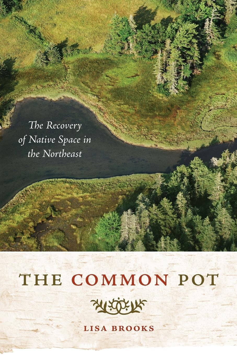 Cover: 9780816647842 | The Common Pot | The Recovery of Native Space in the Northeast | Buch